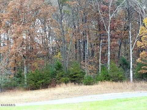 York Lane, Crossville, TN 38555