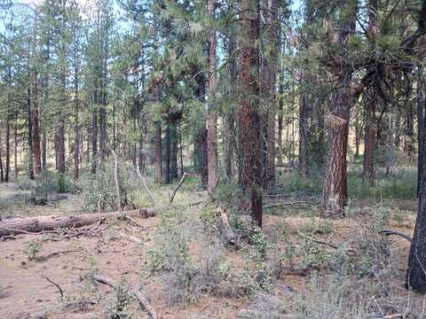 Oriole Drive, Bonanza, OR 97623