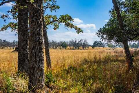 Lot 12 Other, Harper, TX 78631