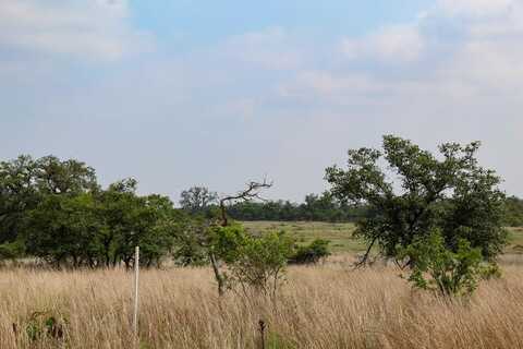 131 Lipan Loop, Harper, TX 78631