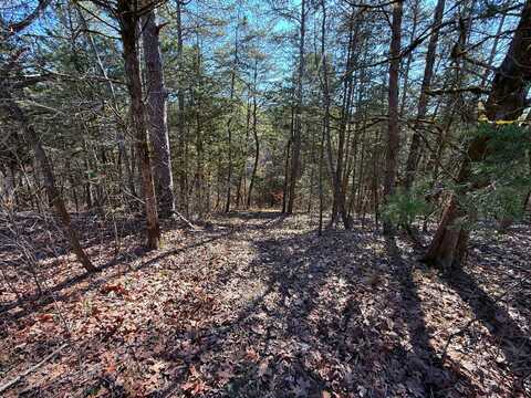 13.5 Acres Buck Horn Road, Dandridge, TN 37725