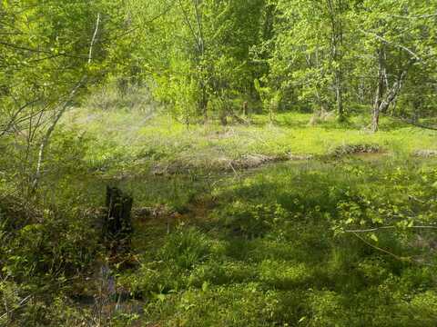 Steve Brown Road, Bean Station, TN 37708