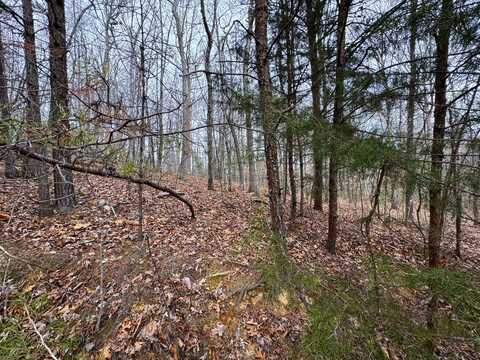 Lot 44 Zuni Way, Del Rio, TN 37727