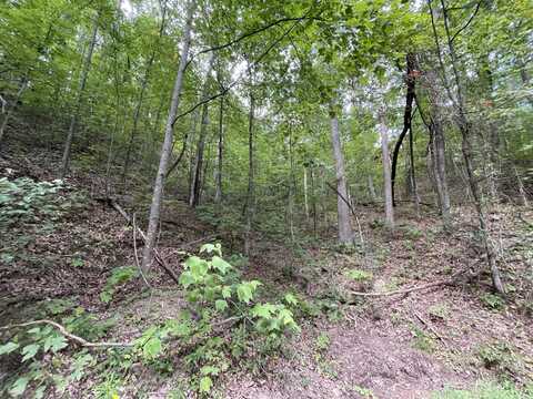 1127 Clingmans View, Sevierville, TN 37876