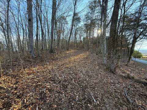 5 Acres Red Hill Road, Newport, TN 37821