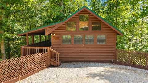 1607 S Mountain View Road, Sevierville, TN 37876