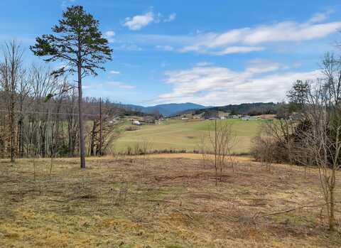 448 Lakota Way, Newport, TN 37821