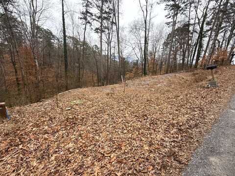 1538 Mayflower Lane, Dandridge, TN 37725