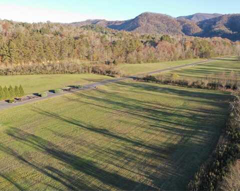 Lot 11 River Rapids Way, Del Rio, TN 37727