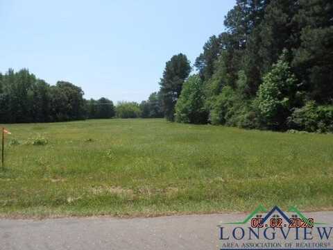 Lot 1 & 2 9.4ac CR 216 & CR 217, Henderson, TX 75652