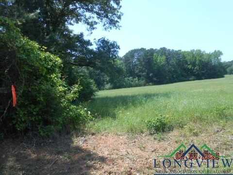 Lot 5 5.287 Ac CR 217, Henderson, TX 75652