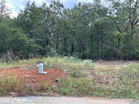 Tbd Cedarpark Place Lot 22, Lindale, TX 75771