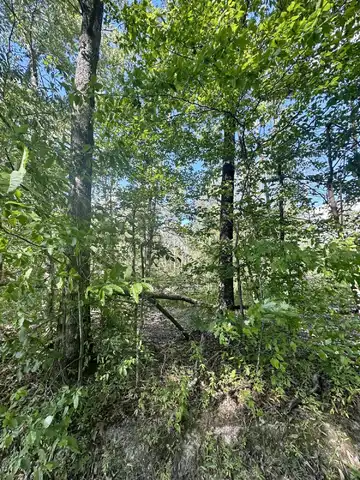 1800 Rice Road, Morehead, KY 40351