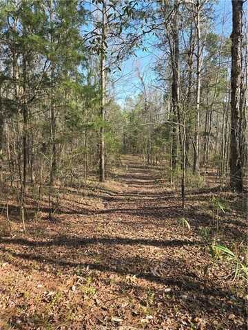 1398 LEE ROAD 45, OPELIKA, AL 36804