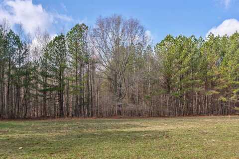 0 DOUBLE BRIDGES ROAD, Madison, GA 30650