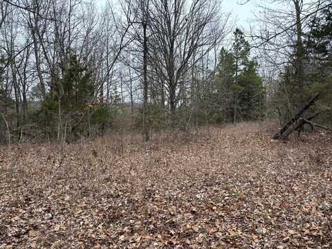 547 MC 3002, Yellville, AR 72687