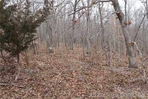 Bogardus Road, Edwards, MO 65326