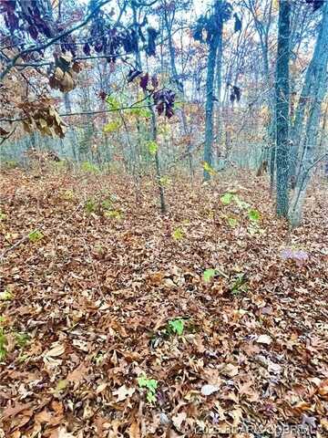 Lot 164 Illinois Lane, Rocky Mount, MO 65072