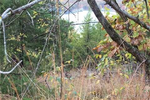 lot 19 Lake Horizons Road, Gravois Mills, MO 65037