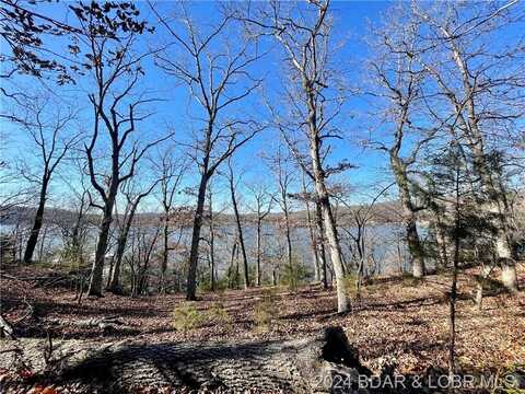 Big Island Drive, Roach, MO 65787