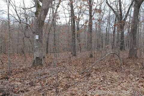 Ferro Lane, Edwards, MO 65326