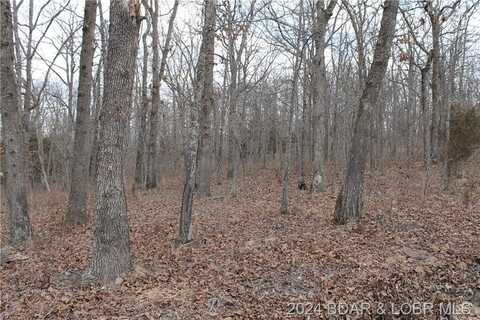Kip Drive, Edwards, MO 65326
