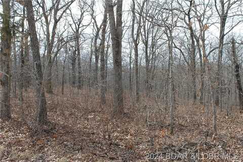 Anne Drive, Edwards, MO 65326