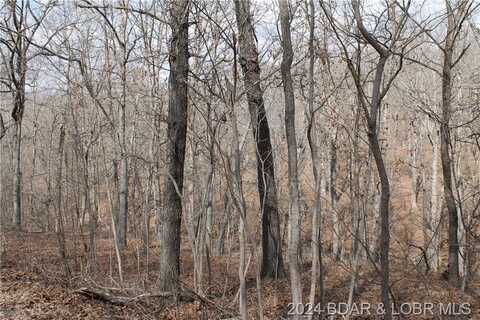 Tim Road, Edwards, MO 65326