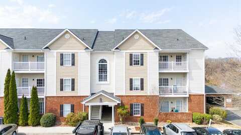 100 Capstone Drive, Lynchburg, VA 24502