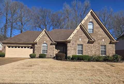 8512 TRONDHEIM, Memphis, TN 38018
