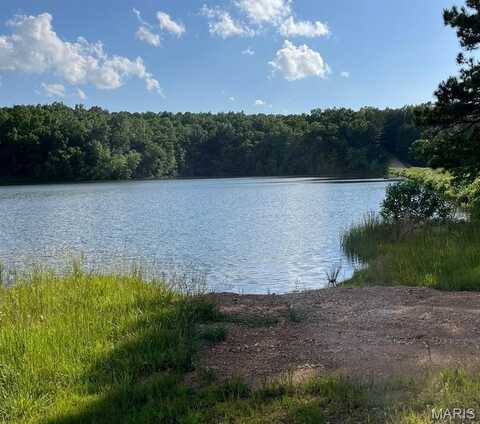 1 Gobbler Cove, Lowndes, MO 69351
