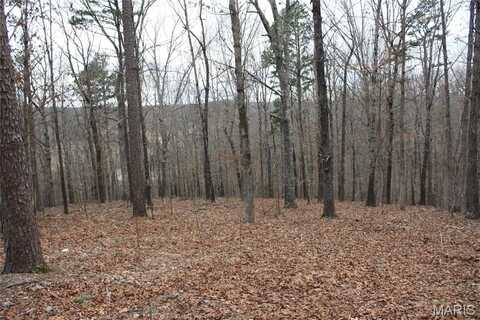 0 Carter 154, Fremont, MO 63941