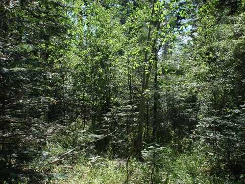 Lot 2 Majestic View Drive, McCall, ID 83638