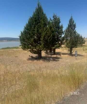 Lakeview Drive, Alturas, CA 96101
