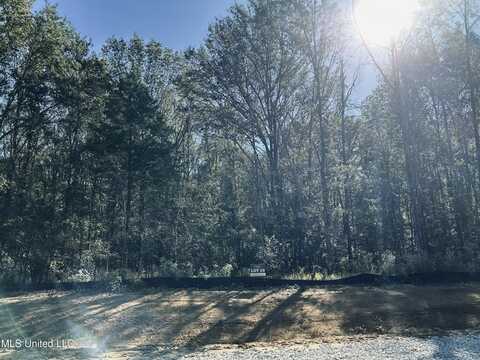 Stout Meadows Lane, Madison, MS 39110
