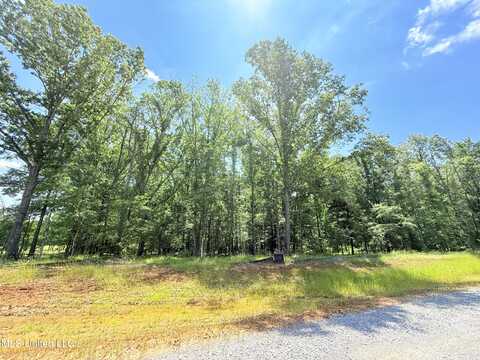 Stout Meadows Lane, Madison, MS 39110