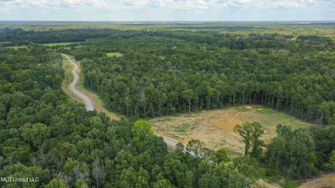 Stout Meadows Lane, Madison, MS 39110