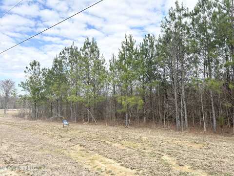 Windfall Trail, Madison, MS 39110