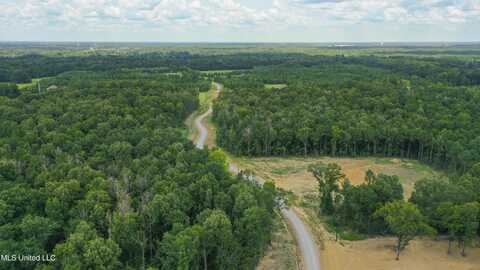Windfall Trail, Madison, MS 39110