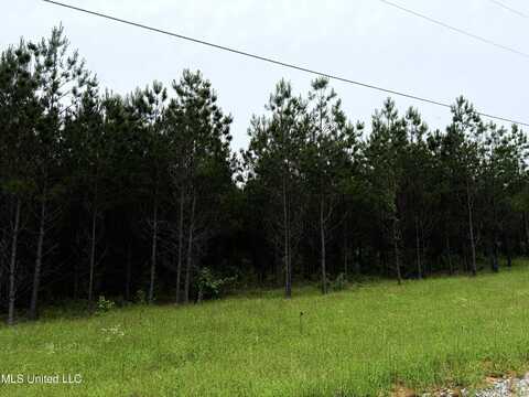Windfall Trail, Madison, MS 39110