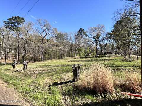 El Dorado Cove, Pearl, MS 39208