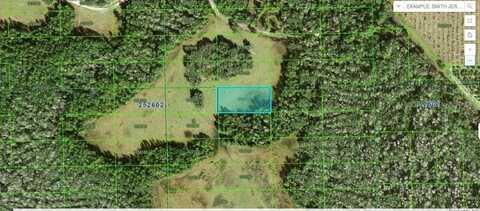 DEEN STILL ROAD, POLK CITY, FL 33868