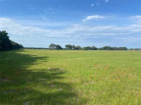 0 NW 163 TERRACE, MORRISTON, FL 32668