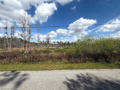 GREEN WILLOW RUN, WESLEY CHAPEL, FL 33544