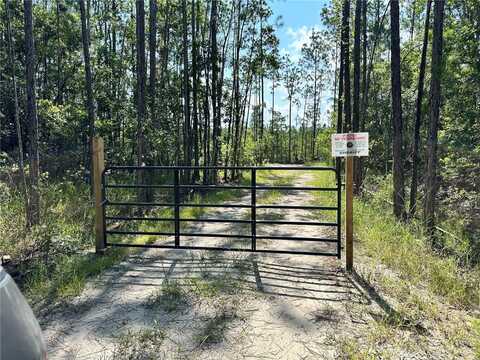 3789 PINE PITCH COURT, ORMOND BEACH, FL 32174