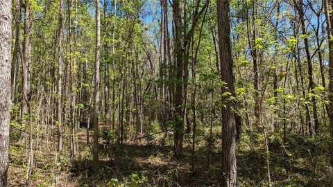 00 NW 35TH AVENUE, GAINESVILLE, FL 32606