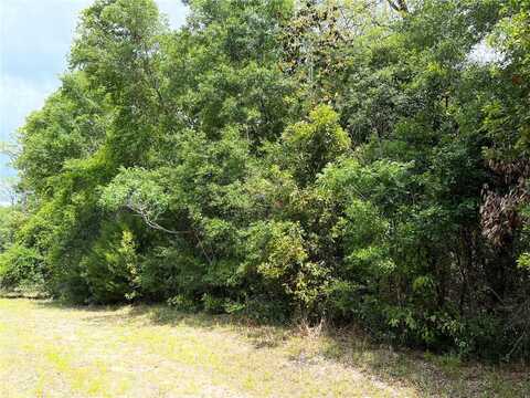 0 NW 70TH CIRCLE, CHIEFLAND, FL 32626