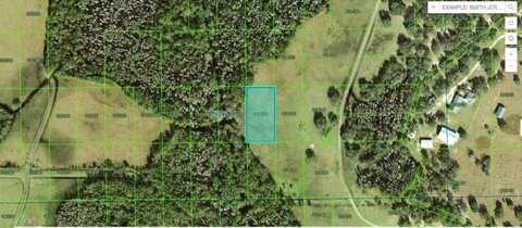 DEEN STILL ROAD, POLK CITY, FL 33868