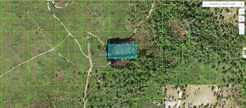 TIGER LAKE RD, LAKE WALES, FL 33898