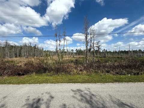 GREEN WILLOW RUN, WESLEY CHAPEL, FL 33544
